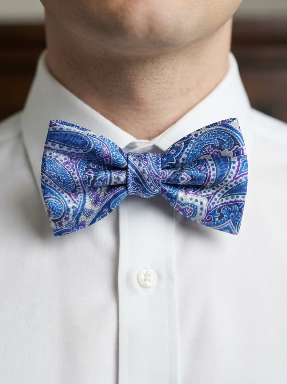 NWT Daniel Cremieux purple blue white paisley silk bow tie